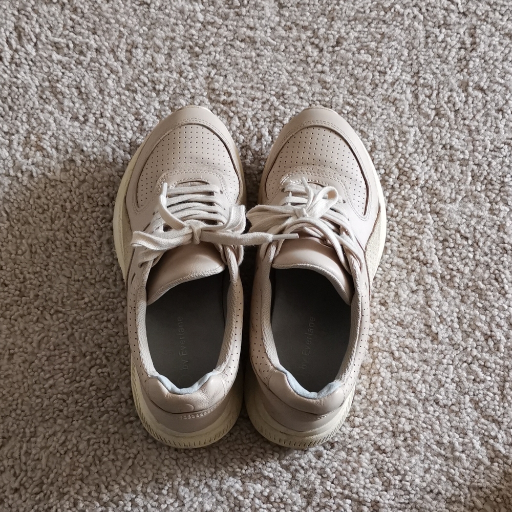 everlane sneaker